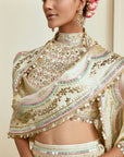 Aabira Lehenga Set - Gold