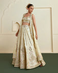 Suhana Lehenga Set - Gold