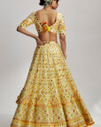 Anha Lehenga Set