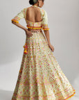 Aneha Lehenga Set