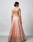 Daksha Lehenga Set