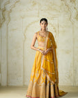 Samia Lehenga Set