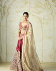 Noorjahan Lehenga Set