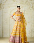 Haseena Lehenga Set