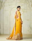 Dilruba Saree Set