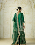 Mumtaz Sharara Set