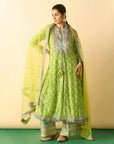 Binita Pallazo Set - Lime