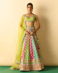 Shyama Lehenga Set - Lime Green