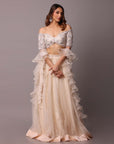 Ivory Shaded Embroidered Blouse And Skirt Set