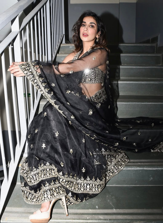 Abhinaya Saree Set - Ready to Ship