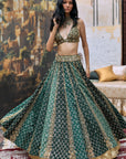 Vaidurya Lehenga Set