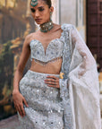 Neerangini Lehenga Set