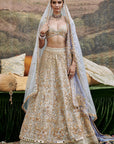 Khwab Sitara Lehenga