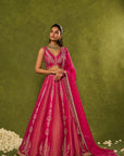 Ambi Brocade Lehenga