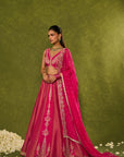Ambi Brocade Lehenga