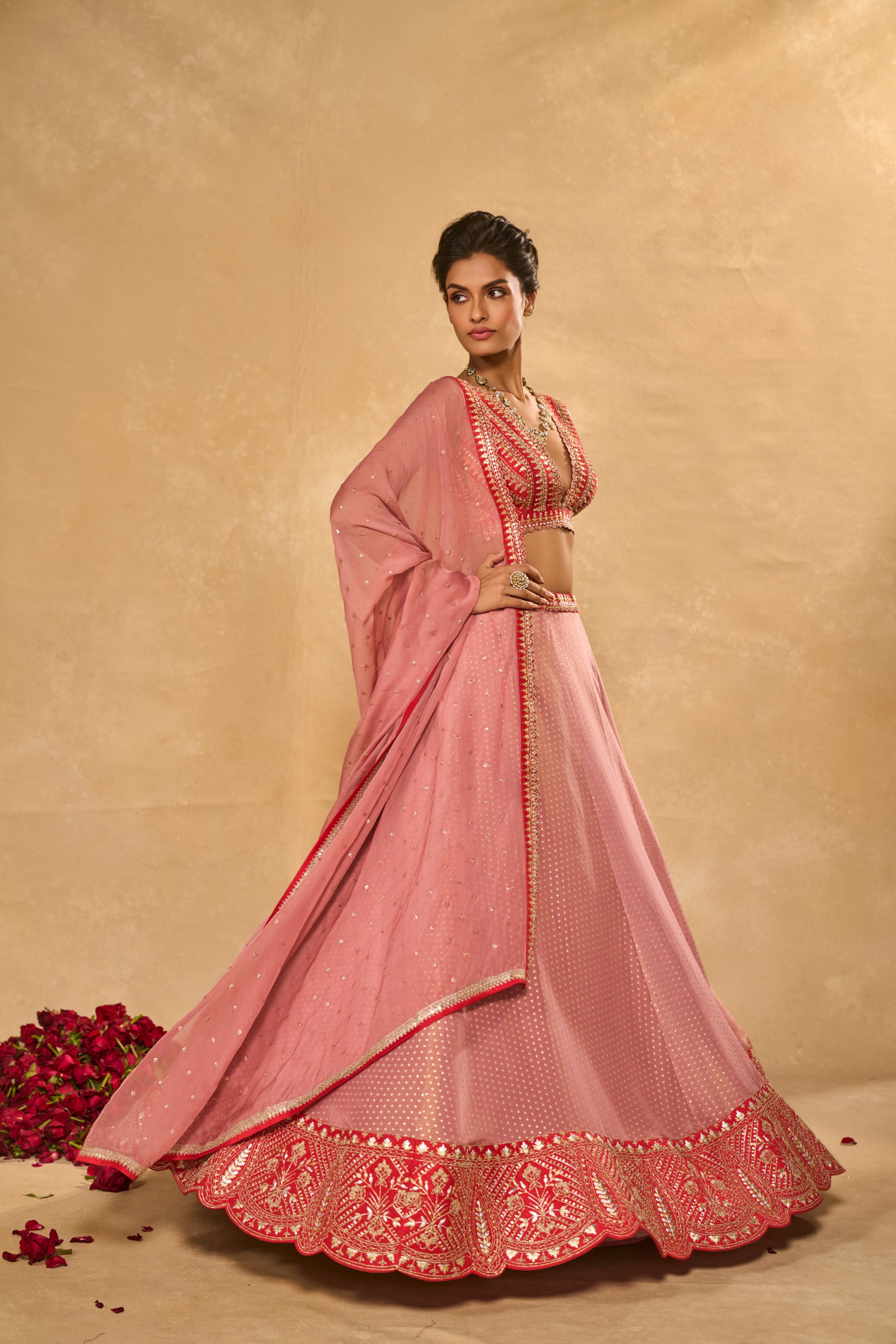 Mina Daman Lehenga