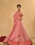 Mina Daman Lehenga