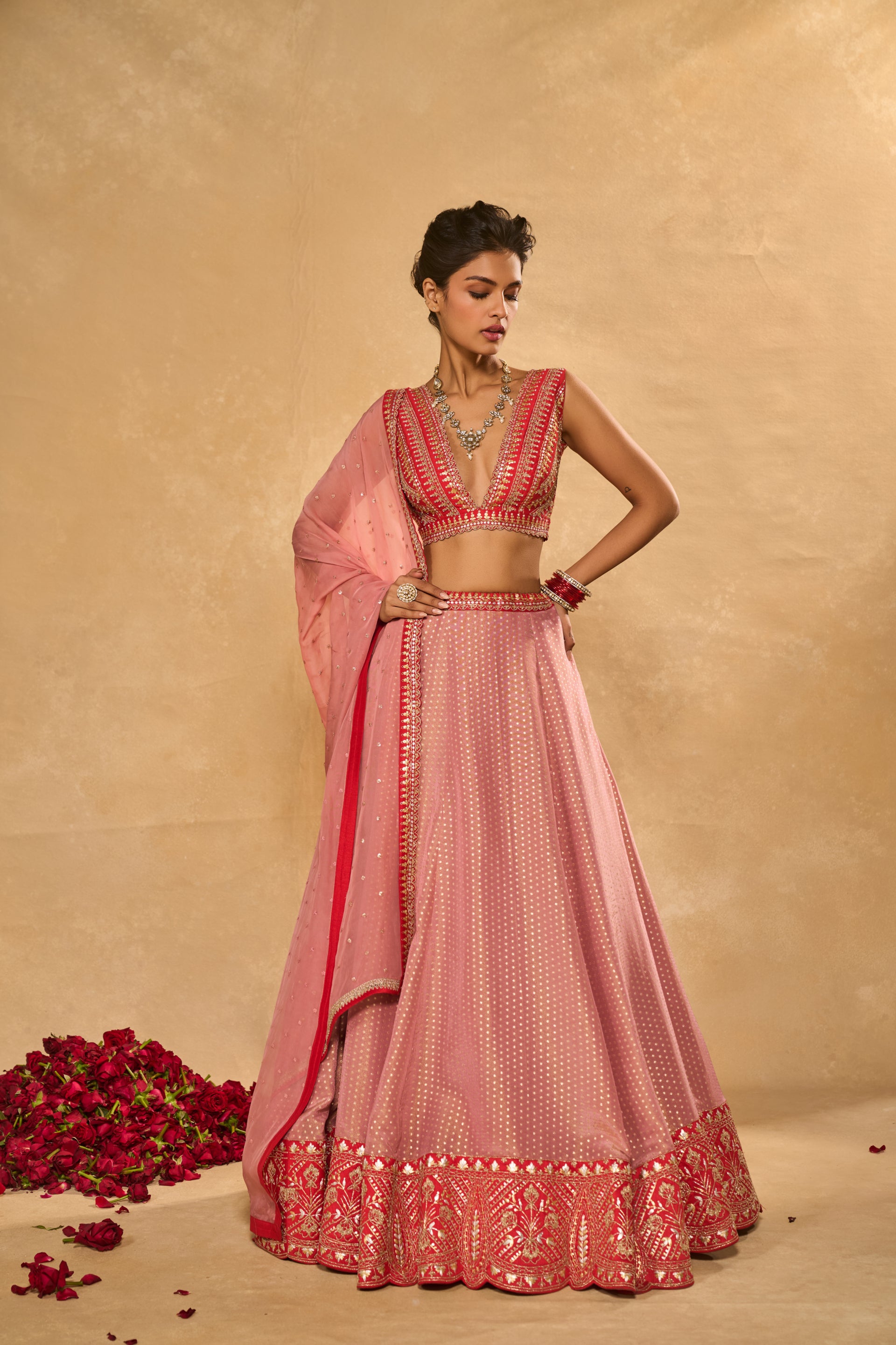 Mina Daman Lehenga
