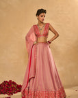 Mina Daman Lehenga