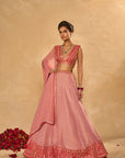 Mina Daman Lehenga