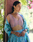 Moonlight Lehenga