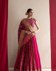 Pink Heritage Patola lehenga