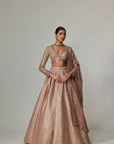 Deep Beige Multicolor Skirt With V Neck Full Sleeve Blouse