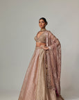 Deep Beige Multicolor Skirt With V Neck Full Sleeve Blouse