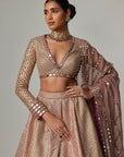 Deep Beige Multicolor Skirt With V Neck Full Sleeve Blouse