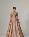 Deep Beige Multicolor Mettalic Lehenga Set