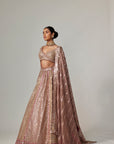 Deep Beige Multicolor Metallic Lehenga With Elbow Blouse