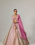 Dark Blush Multicolor Metallic Gota Crop Top Skirt With Dark Blush Dupatta