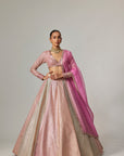 Dark Blush Multicolor Metallic Gota Crop Top Skirt With Dark Blush Dupatta