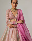Dark Blush Multicolor Metallic Gota Crop Top Skirt With Dark Blush Dupatta