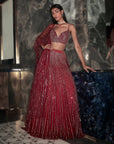 Metroid Bling Lehenga Set