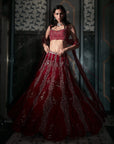 Euclid Lehenga Set
