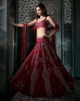 Euclid Lehenga Set