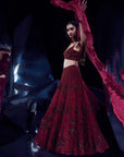 Sylvan Lehenga Set