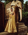 Hafsa Lehenga
