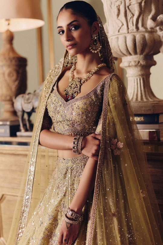 The Royal Masai Landscape Aged Pistachio Tissue Lehenga