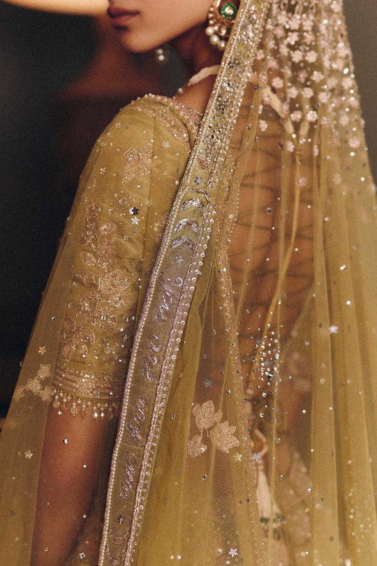 The Royal Masai Landscape Aged Pistachio Tissue Lehenga
