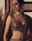 The Sheeshraag Toasted Gold Lehenga