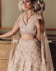 Flamingos of the Wild Lehenga