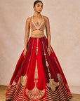 Milan Ki Aas Lehenga