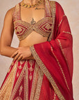 Tenu Takdi Ravah Lehenga