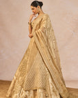 Namkeen Lehenga