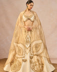 Noor Ban Gaye Lehenga