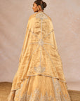 Chandni Lehenga