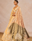 Chandni Lehenga