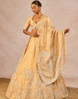 Chandni Lehenga